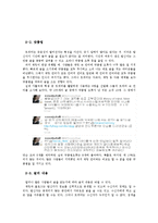 인터넷 매체 속 트위터 -언어를 중심으로-11