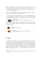 인터넷 매체 속 트위터 -언어를 중심으로-12
