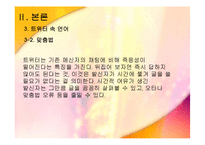 인터넷 매체 속 트위터 -언어를 중심으로-19