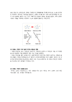 포화지방산과 불포화지방산-7