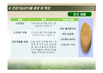 [식품학] 건강 기능성 식품 문제점 및 나아갈 방향-17