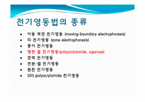 [미생물] 아가로스겔전기영동(agarose gel electrophoresis) ＆ Gel elution-3