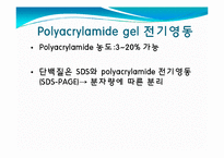 [미생물] 아가로스겔전기영동(agarose gel electrophoresis) ＆ Gel elution-6