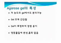 [미생물] 아가로스겔전기영동(agarose gel electrophoresis) ＆ Gel elution-8