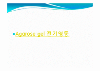 [미생물] 아가로스겔전기영동(agarose gel electrophoresis) ＆ Gel elution-13