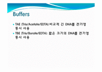 [미생물] 아가로스겔전기영동(agarose gel electrophoresis) ＆ Gel elution-14