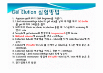 [미생물] 아가로스겔전기영동(agarose gel electrophoresis) ＆ Gel elution-17