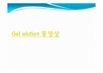 [미생물] 아가로스겔전기영동(agarose gel electrophoresis) ＆ Gel elution-18