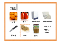 [식품미생물학실험] 단감과 홍시를 이용한 와인 제조-6
