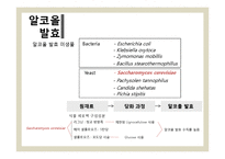 [식품미생물학실험] 단감과 홍시를 이용한 와인 제조-7