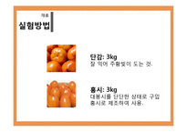 [식품미생물학실험] 단감과 홍시를 이용한 와인 제조-11