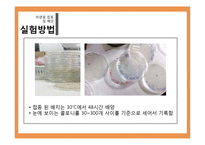 [식품미생물학실험] 단감과 홍시를 이용한 와인 제조-16