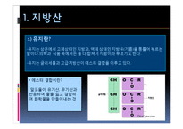 포화지방산과 불포화지방산-4