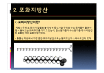 포화지방산과 불포화지방산-8