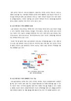 소셜네트워크서비스(SNS) 열풍, 왜? - 소셜네트워크서비스(SNS)의 정의와 성장배경 특징 문제점 이용현황 시장전망 고찰 등-3