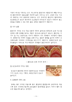 흡연과 건강관리-14