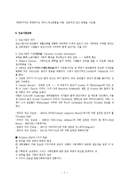 중세의 길드제도와 자선사업과 개별사회사업 및 지역사회조직00-2