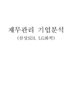 [재무관리] 삼성SDI, LG화학 기업분석-1