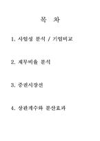 [재무관리] 삼성SDI, LG화학 기업분석-2