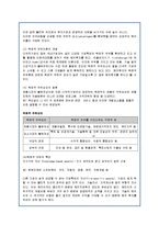 [국제경영] 국내 기업의 해외직접투자 현황과 사례-10
