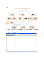 [기술경영] AHP 기본개념과 실전-17