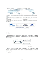 [국제경영] 체시스 중국시장 진출 전략-3