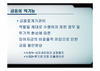 [화폐금융학] 화폐와 금융의 순기능, 역기능 사례-14