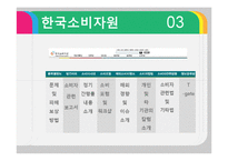 [소비자정보론] 한국소비자원, 공정거래 위원회의 정보전달 형태-5