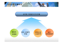 [국제경영] LG전자 인도진출 현지화 전략-10