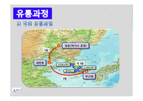 [물류시스템] 흙표 흙침대 제품 유통 프로세스 조사-14