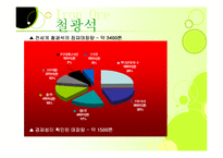 [비교문화 경영론] BHP빌리턴을 통해서 본 오세아니아와 한국의 철광석 산업-6