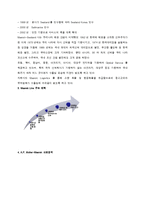 [화물운송론] 머스크 시랜드의 국제적 사업현황-7
