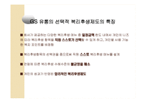 [인적자원관리] 한국 IBM과 GS 유통의 복리후생제도-17
