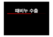 [무역상무](주)무궁화 때비누 핀란드 수출절차 및 전망-1