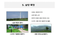 [마케팅원론] 우지파동과 삼양라면의 마케팅 전략-16