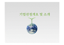 [환경마케팅] 한국타이어의 환경경영분석과 환경마케팅 전략 제안-3
