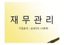 [재무관리] 삼성SDI, LG화학 기업분석-1