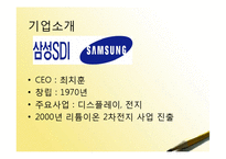 [재무관리] 삼성SDI, LG화학 기업분석-3
