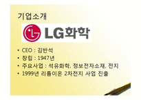 [재무관리] 삼성SDI, LG화학 기업분석-4