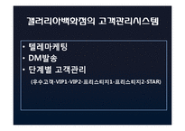 [유통정보론] IT기술을통한 과학적 고객관리가 필요한 갤러리아백화점-6