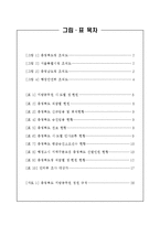 [인사행정론] 지방자치단체의 인사적체-3