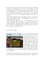 [미국문화] 미국의 스포츠 문화-6