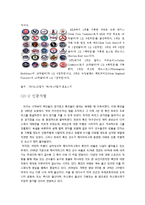 [미국문화] 미국의 스포츠 문화-7