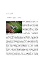 [미국문화] 미국의 스포츠 문화-8