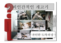 보신탕 찬반 논란-12
