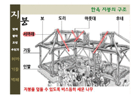 [한국주거사] 한옥의 구조-지붕, 처마, 기둥, 벽체-9