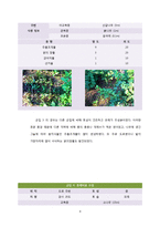 [생물과학실험] 토양 미생물 환경과 식생 분포의 관련성-4