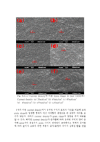 [신소재공학] 전류밀도, 첨가제의 농도변화에 따른 변화 실험-17