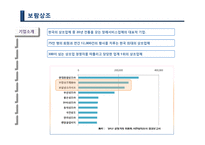 보람상조 마케팅전략과 기업경영분석(A+레포트)-3