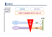 보람상조 마케팅전략과 기업경영분석(A+레포트)-5